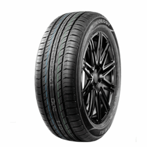 225/55R16 95V ECOLOGY XBRI
